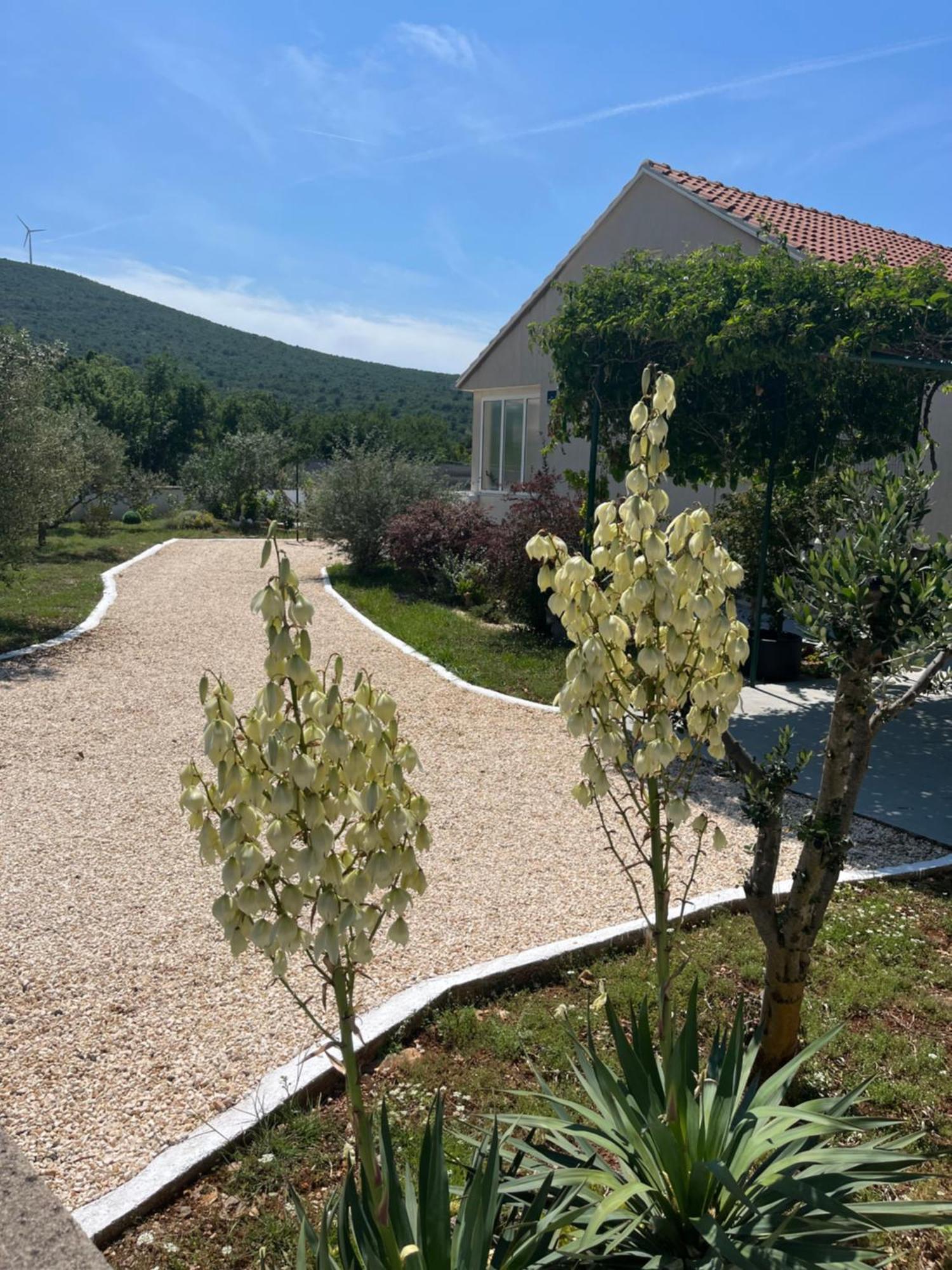 Vila Mediterranean Olive Waterfallskrka-Croatia Gulin Exteriér fotografie